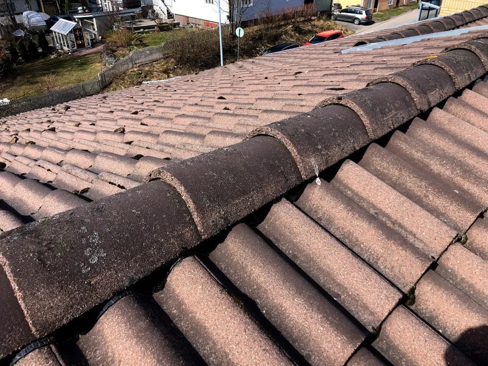 Huoltovapaata kattoa ei ole  – ennakoi ja säästä