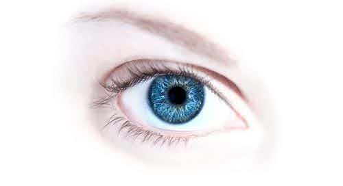 Valioravinto Oy:n Omega7-Eye on vuoden terveystuote