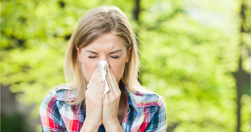 Keväästä puhutaan allergisen piinaviikkoina, oireita voi helpottaa pienin teoin