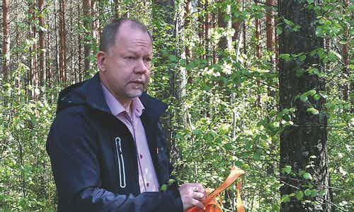 Kiinnostus metsäsijoittamiseen kasvaa – Metsätilat.fi ylitti 2 miljoonan kävijän rajan